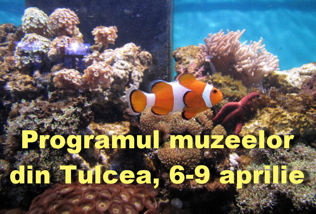 Programul muzeelor din Tulcea, 6-9 aprilie