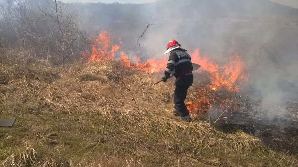 Incendiu de vegetaţie lângă Teliţa, stins de pompieri