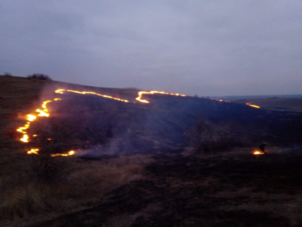 Cinci hectare de teren cu vegetație uscată ard în zona Mineri